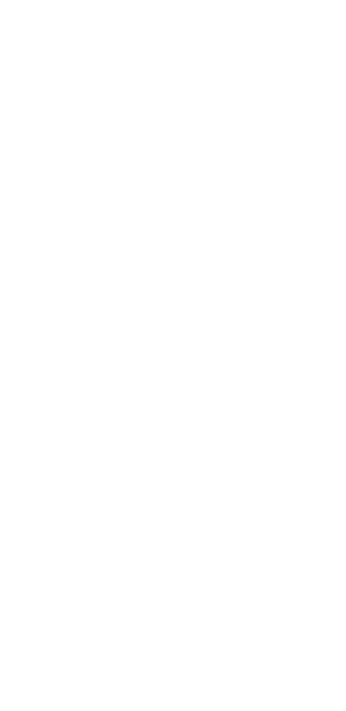 Hubraum: 125 cc, 4 Takt.  Höchstgeschwindigkeit  RS: 	120 km/h, Tuono: 	110 km/h.  Leistung: 11 kw, 15 PS bei 10.750 U/min.  Verbessertes Drehmoment.   6-Gang-Getriebe.    40 mm Upside-Down-Gabel vorn Stahlschwinge mit Monofederbein hinten.    Brembo  Bremse 300 mm vorn mit       4 Kolben Bremszange,  hinten 218 mm mit 1 Kolbenzange, Bosch 2- Kanal ABS.                Alu-Gussräder mit Bereifung vorn   : 100 / 80 - 17.  hinten: 140 / 70 - 17.   Leergewicht fahrfertig: 144 kg.  Tankinhalt: 14,5 l, Reserve 1,0 l.   Sitzhöhe 820 mm.